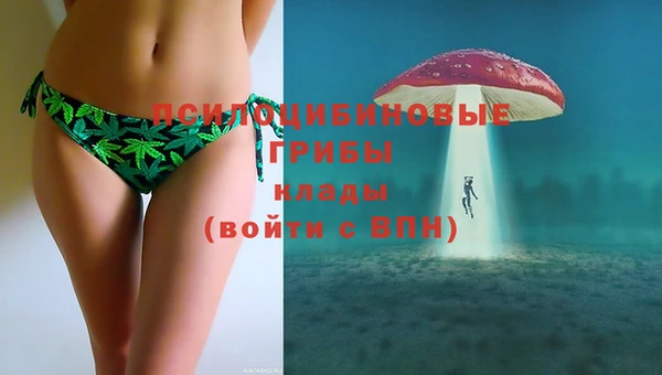 прущие грибы Ельня