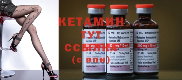 прущие грибы Ельня