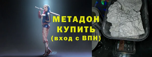 прущие грибы Ельня