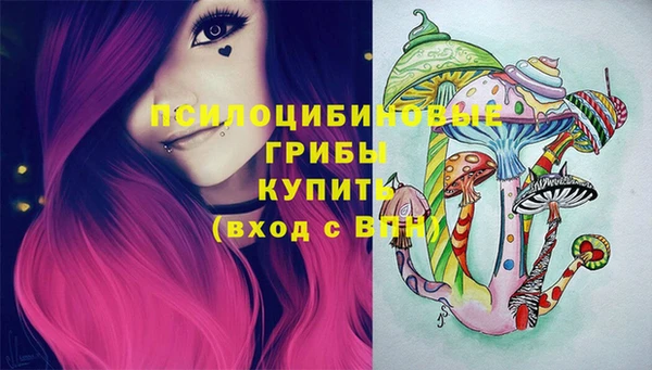 гашик Елабуга