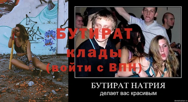 прущие грибы Ельня