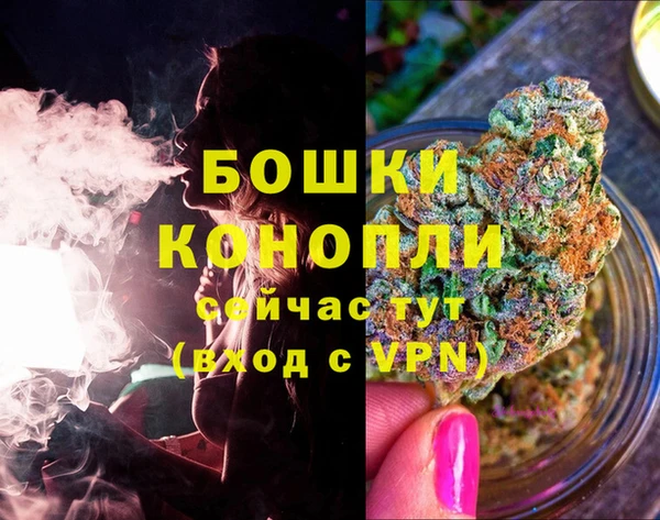 прущие грибы Ельня