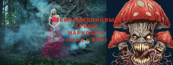 гашик Елабуга