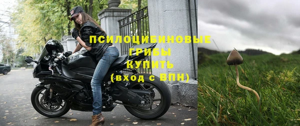 прущие грибы Ельня