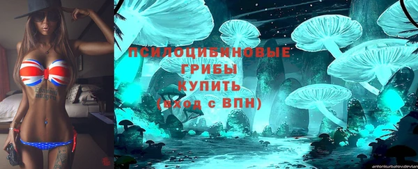 ГАЛЛЮЦИНОГЕННЫЕ ГРИБЫ Елизово