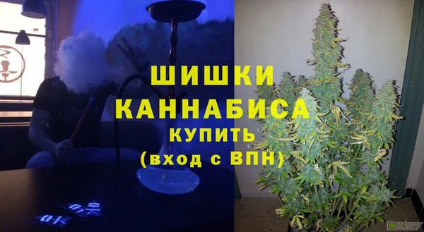 прущие грибы Ельня