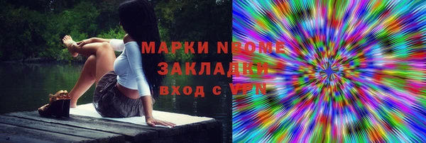 прущие грибы Ельня