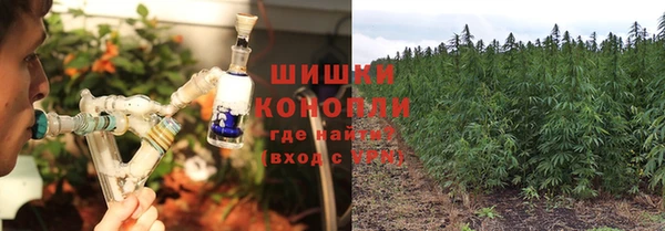 гашик Елабуга