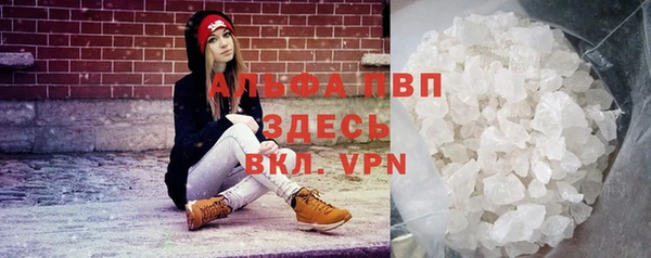 прущие грибы Ельня