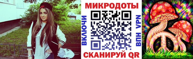 Галлюциногенные грибы Psilocybe Владикавказ