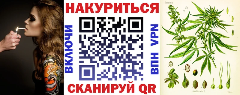 купить наркоту  Владикавказ  Каннабис семена 